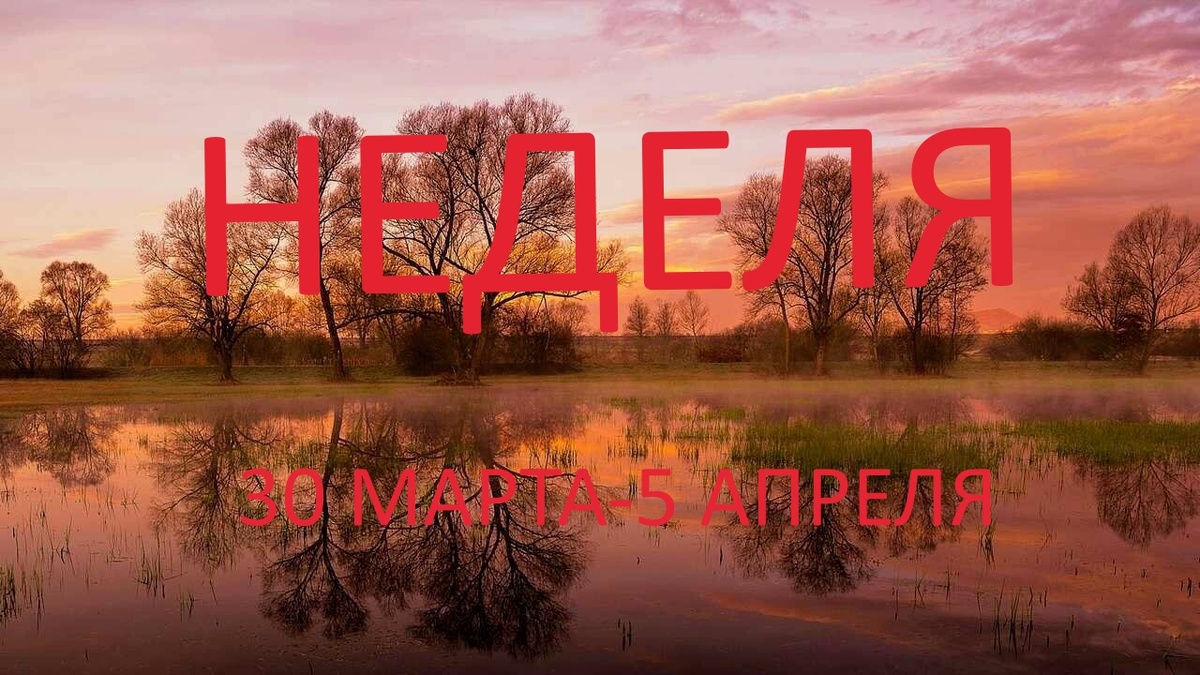 Апрельский пейзаж. Фото в свободном доступе.