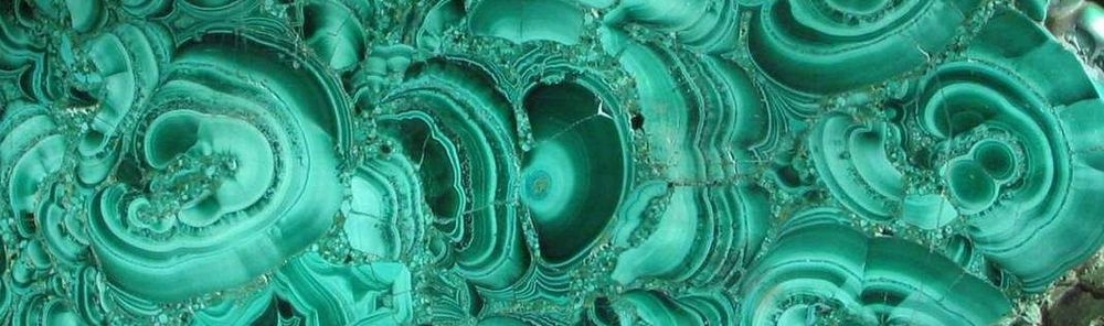 Для контактов: angelica.keiner@yandex.ru или floransia@yandex.ru