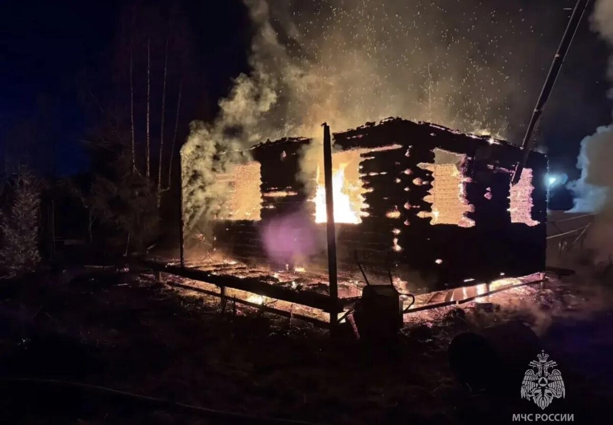    Фото: МЧС России