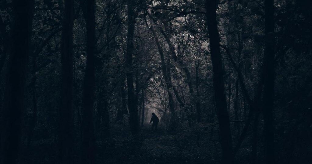 (Часть 3)Безмолвный лес, пожирающий души. Цикл: Топ-10 загадочных пропаж в лесах и горах