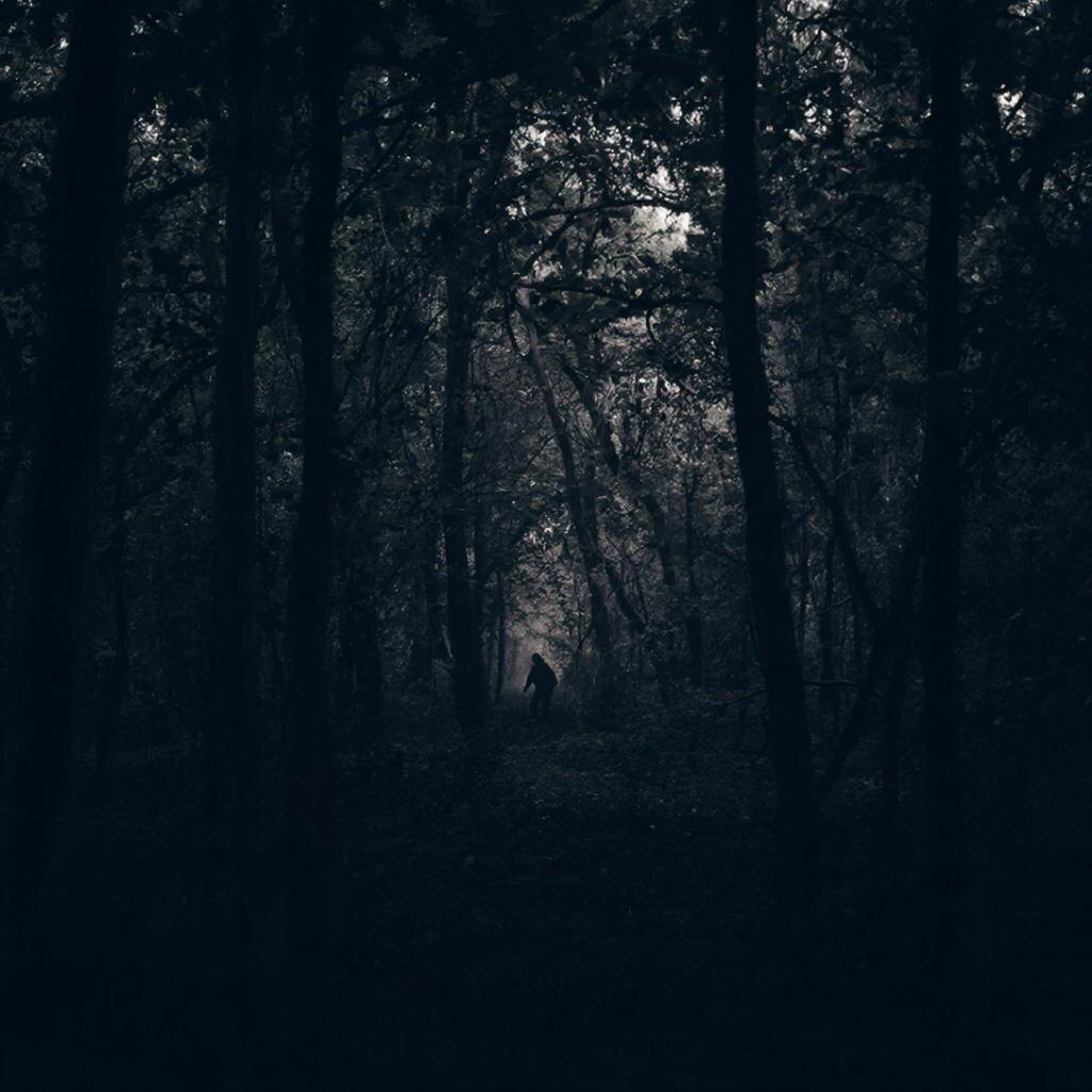 Лес зовет, лес поглощает. Но что, если он не просто забирает, а прячет без следа?