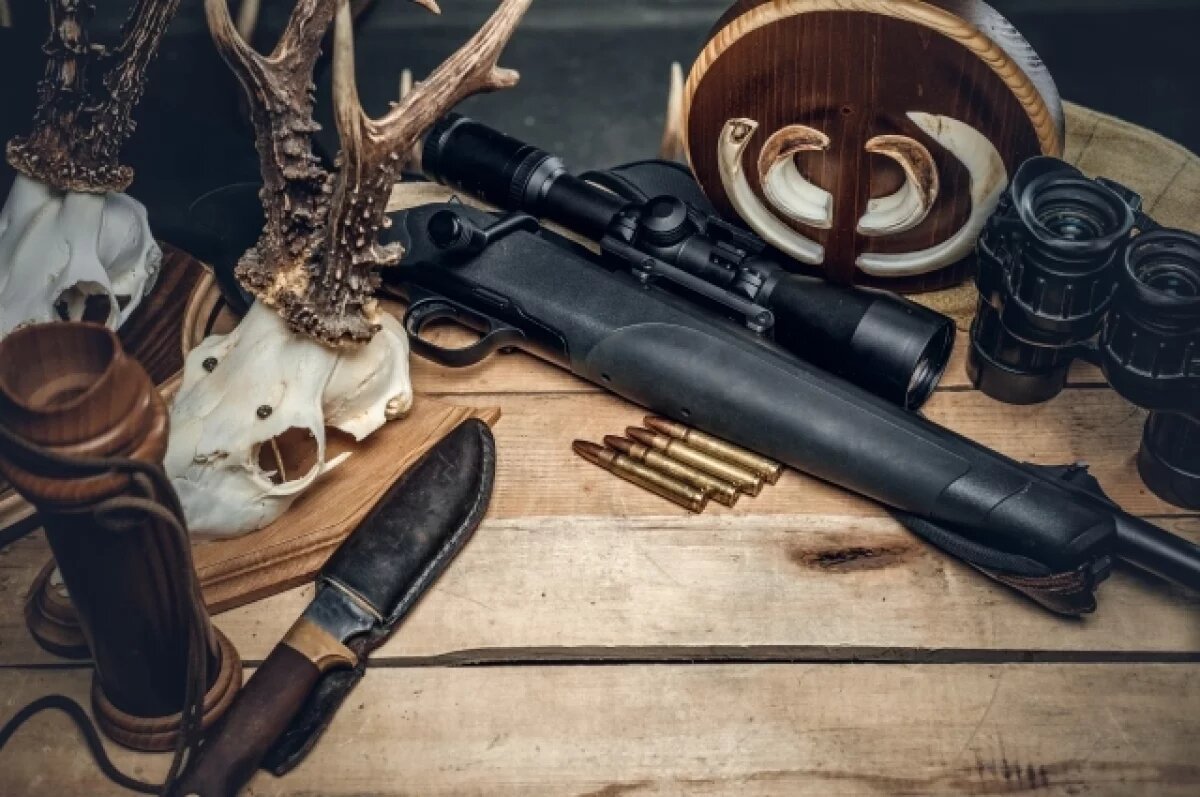    В Калининградской области изменились правила получения охотничьего билета