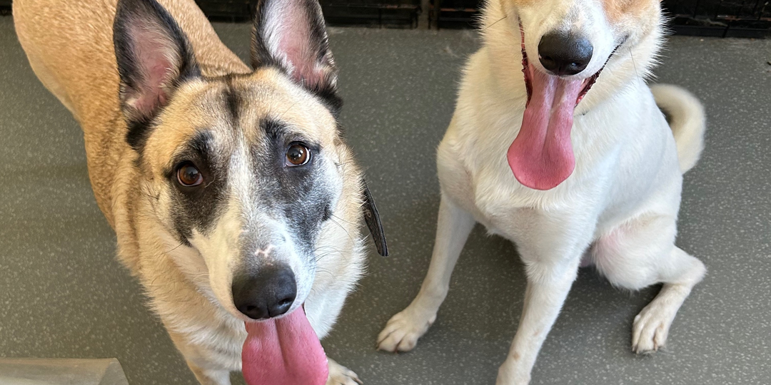 День четвертака - акция в которой может поучаствовать каждый. Без ущерба для бюджета.