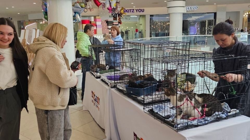 Зоофестиваль #найдидруга_28марта ждёт гостей