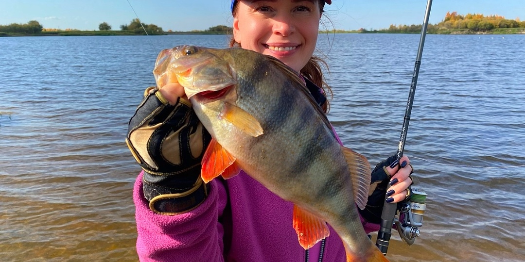 Почему трофейный окунь игнорирует приманки?