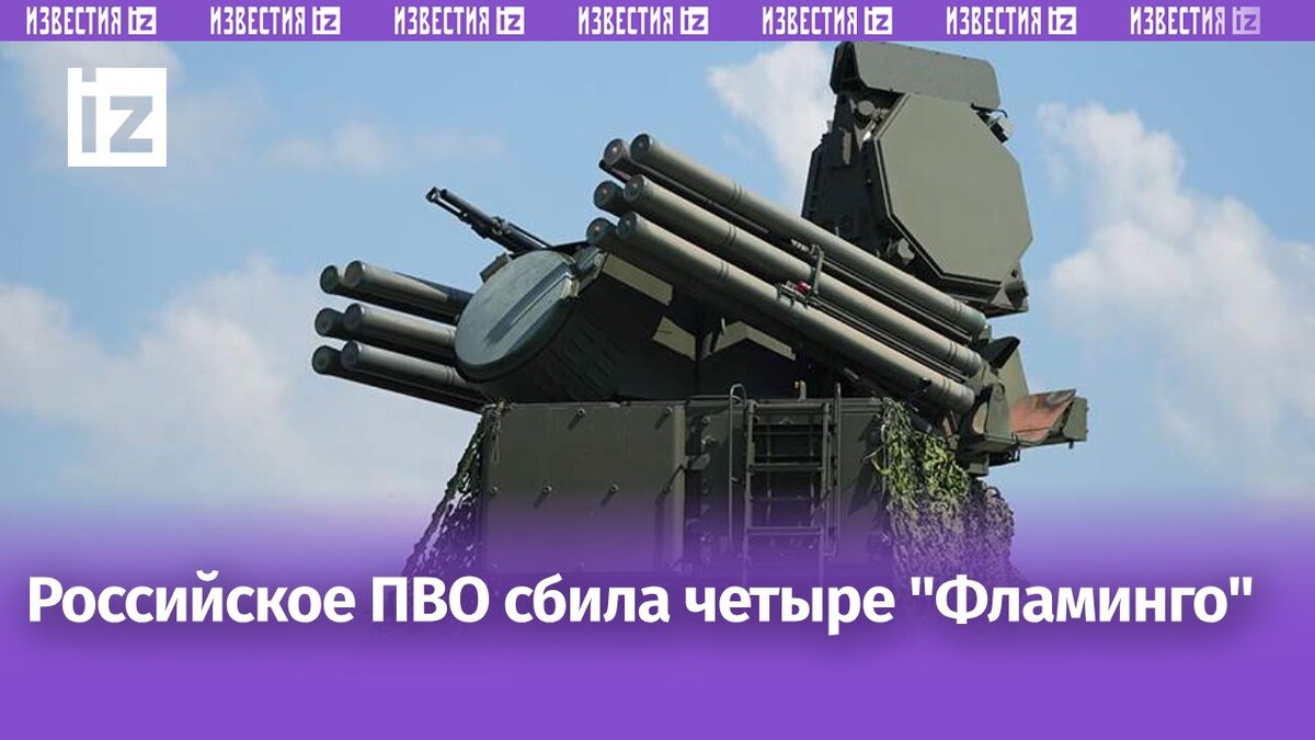 Фото: ИЗВЕСТИЯ/Дмитрий Коротаев