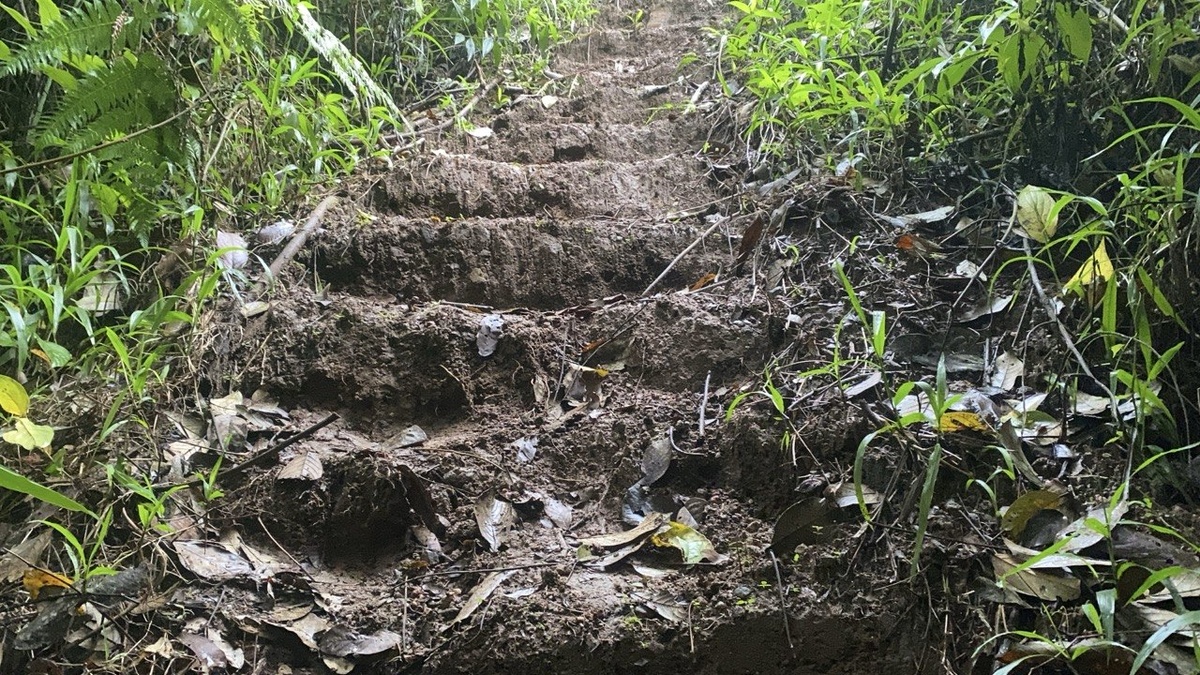 ЭТО ПОКА ЕЩЁ ХОРОШАЯ ТРОПА