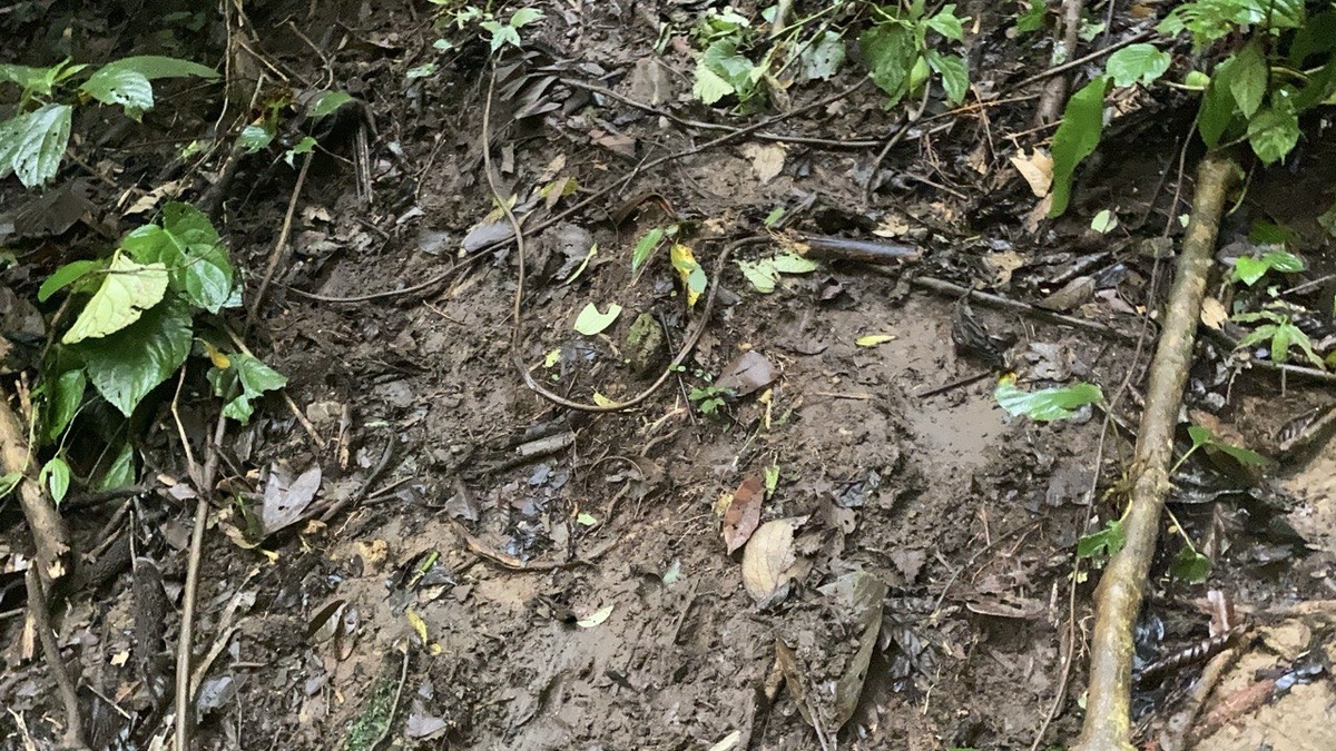 А ВОТ ЭТО УЖЕ МЕССИВО