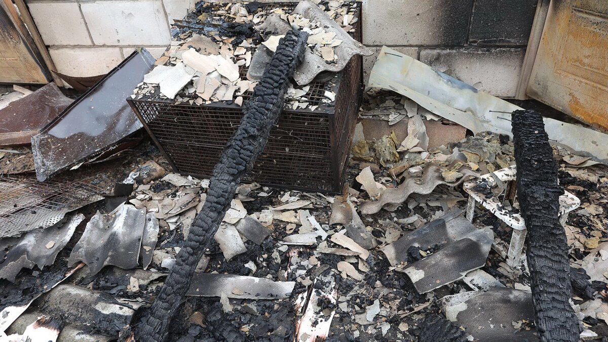    Фото: Антон Вергун