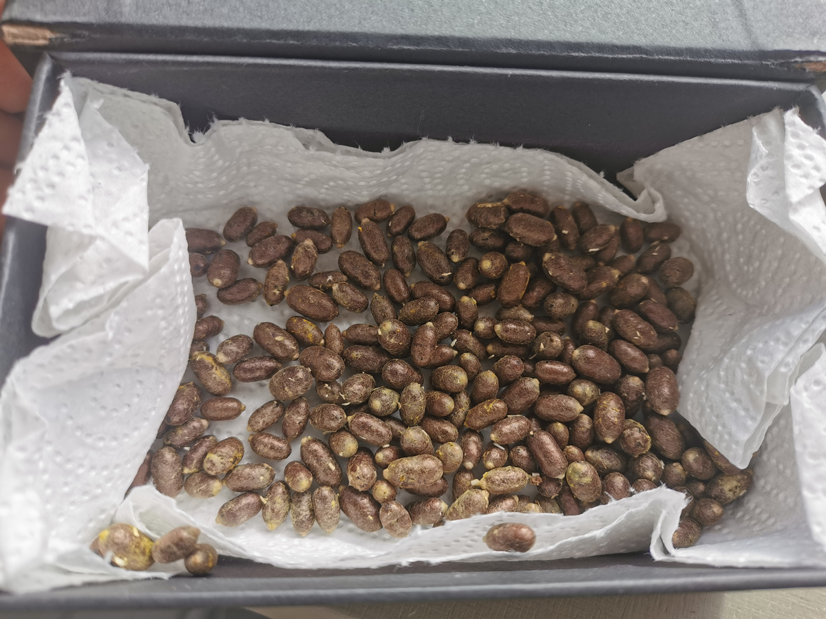 Поголовье опылителей на этот сезон