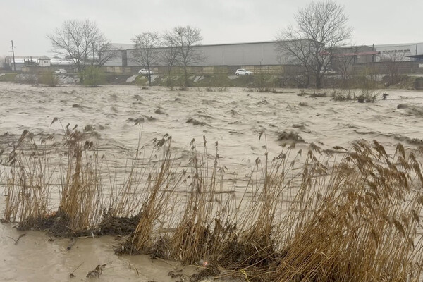 Telegram-канал «Корголиев|Обратная связь»  📷