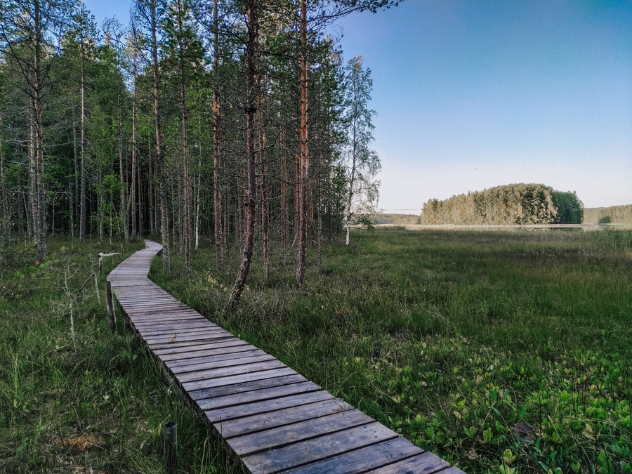 Кенозерская тропа