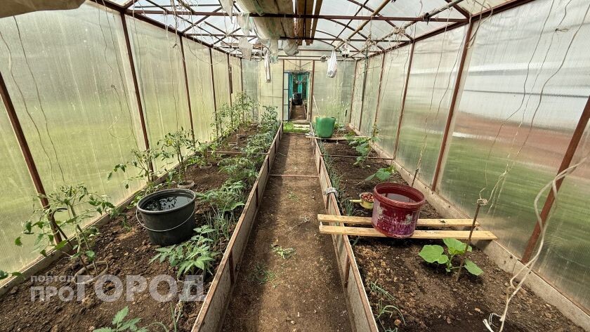    Из архива "Про Город"