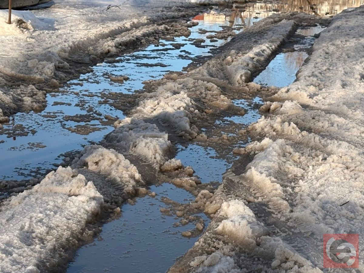    Фото: Прецедент