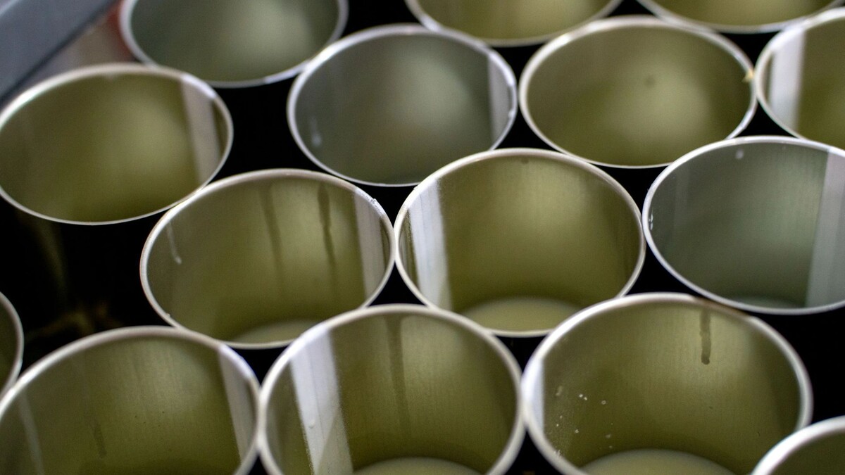    Фото: Сергей Зубков/«Ямал-Медиа»