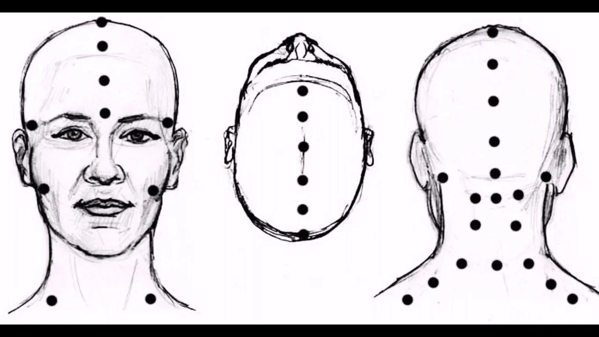 Картинка взята из открытых источников