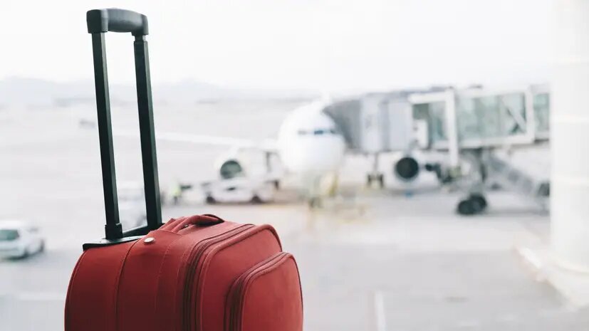    Источник: russian.rt.com Светлана