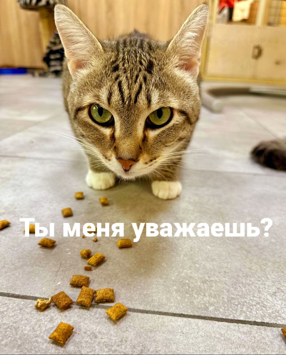 Семен Безхвостов