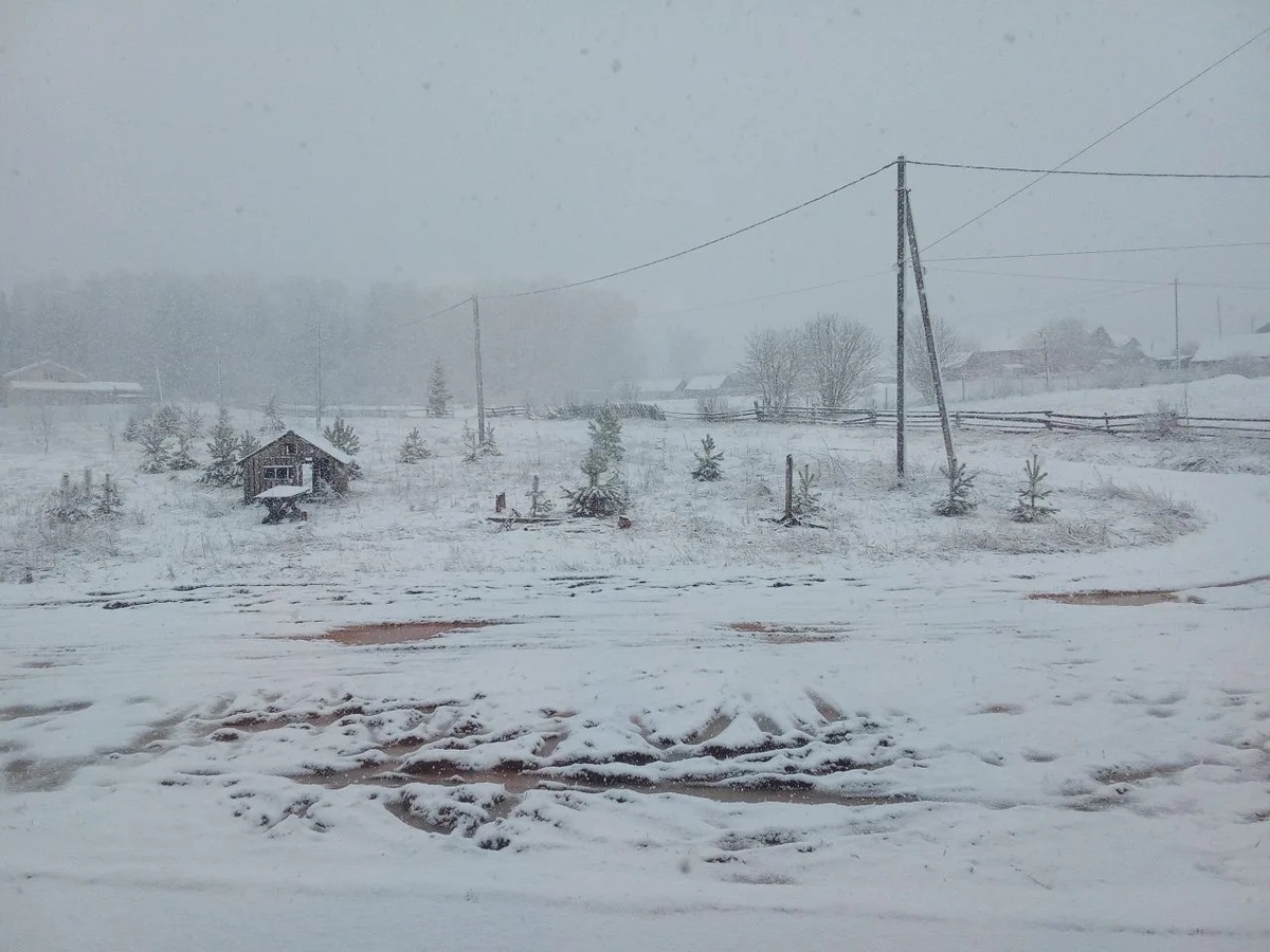 Вот такой вид из окна. Пришлось даже выезд в обратный путь задержать, чтобы переждать сильный снегопад 