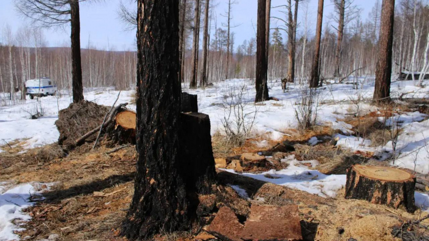    МВД Иркутской области