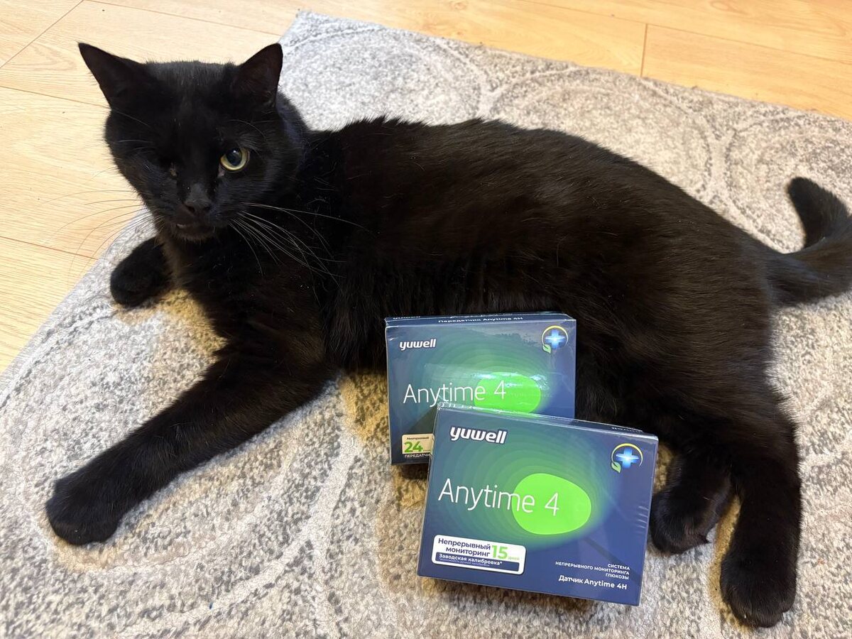 Кот Бусик помогает с контентом