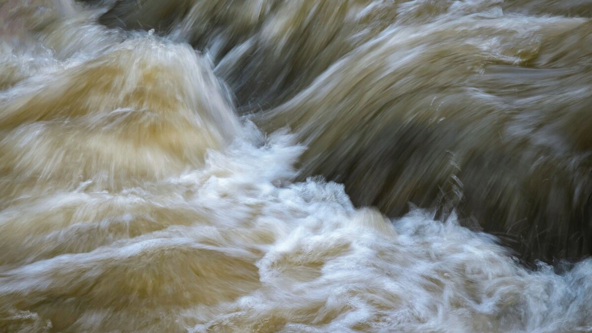    Фото: Jozef Jankola/Shutterstock/Fotodom