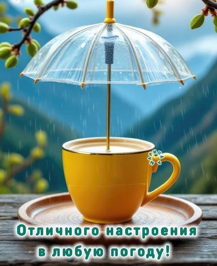 Фото из открытого источника