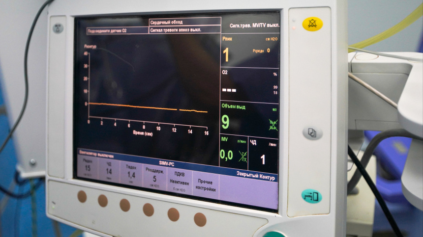    Фото: ИЗВЕСТИЯ/Анна Селина; 5-tv.ru