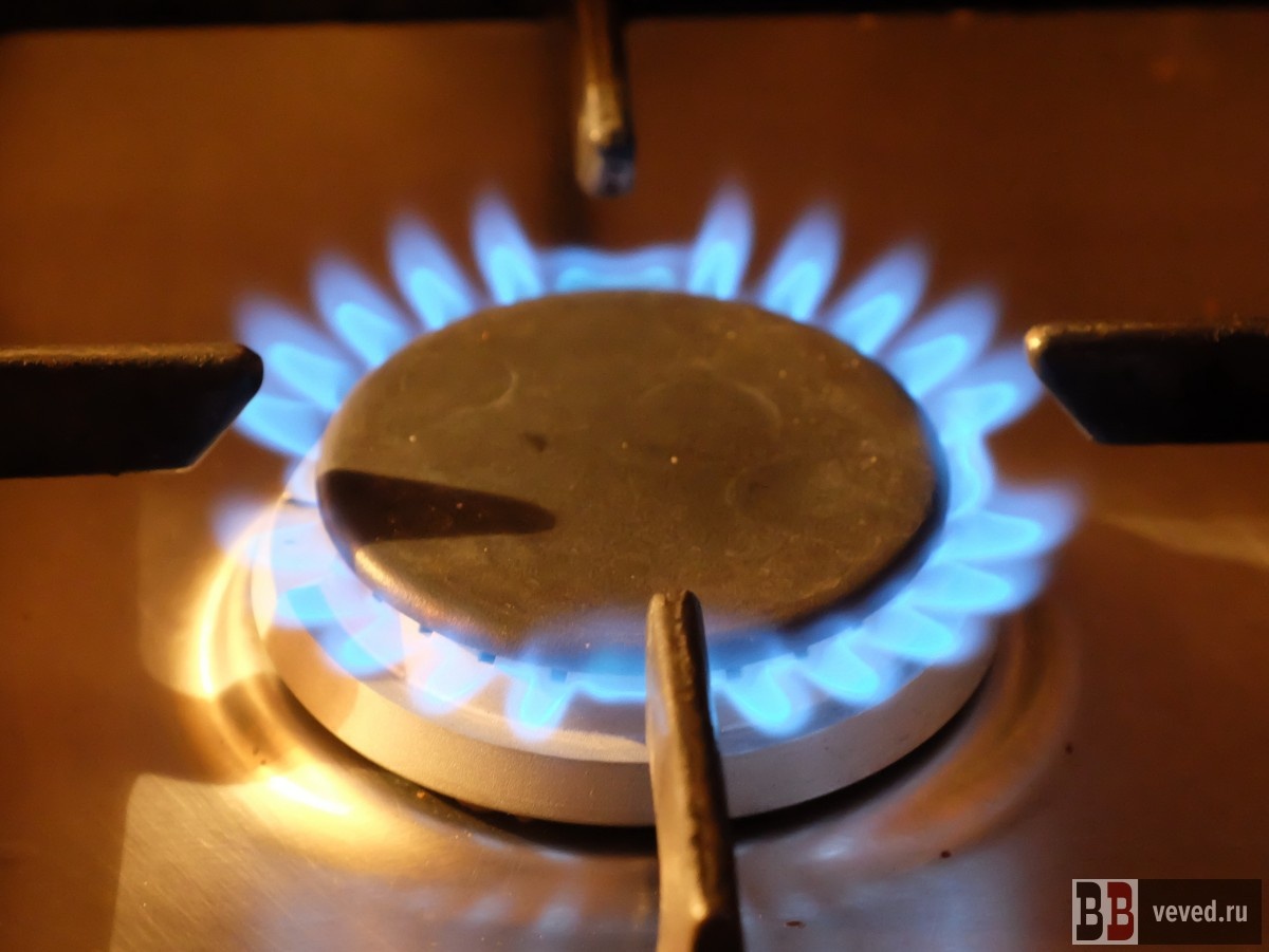     Фото: Владислав Постников / Вечерние ведомости