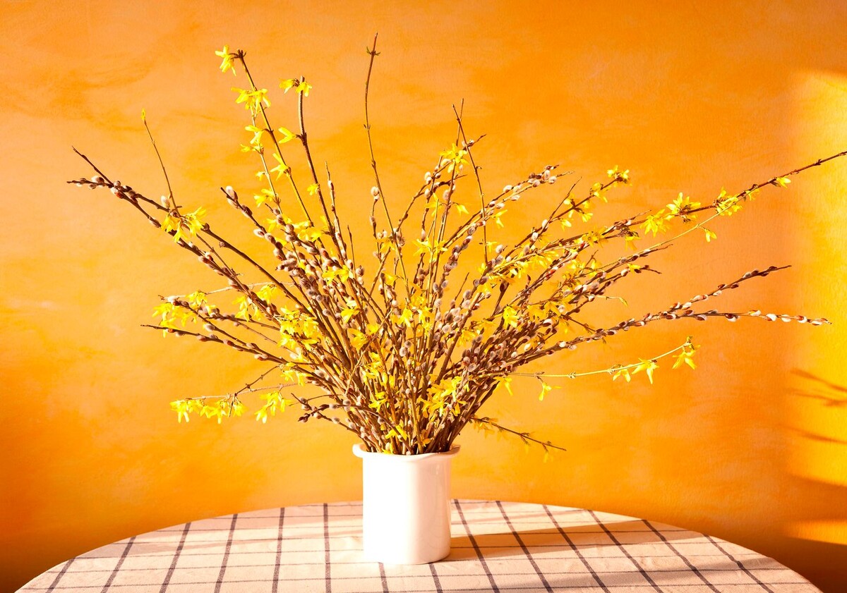     / Источник: © Global Look Press