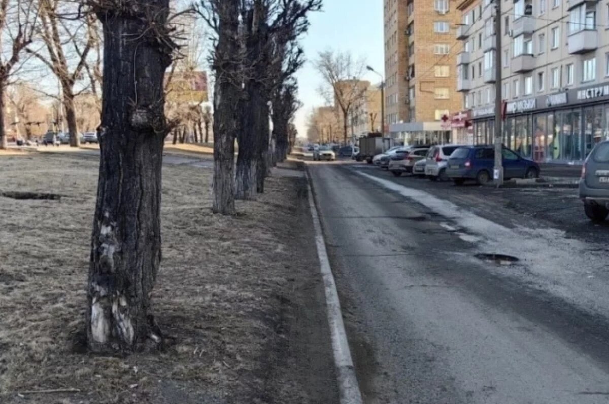    В мэрии ищут подрядчика для благоустройства пешеходной зоны на Красрабе