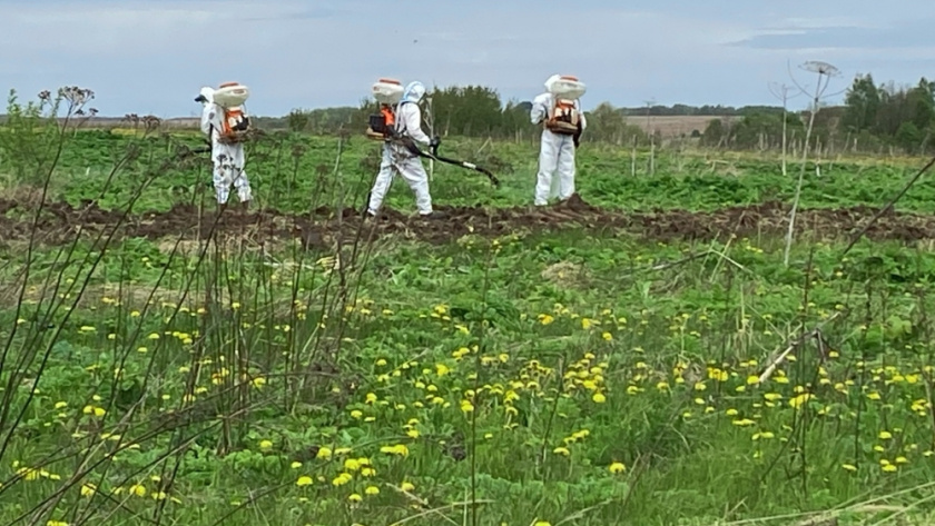    фото из архива ПроГород33