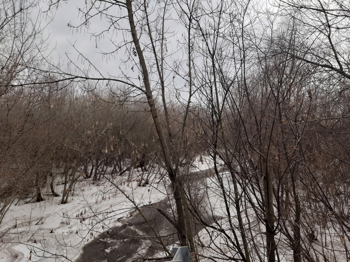 Река Тептятка