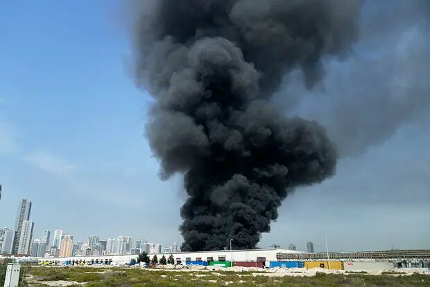    Источник: lenta.ru/ Екатерина Авдеева