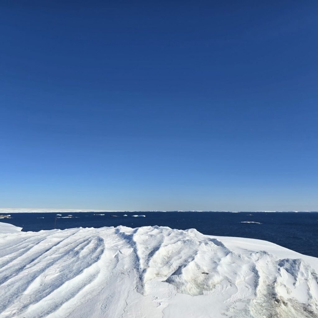    ФОТО: vk.com/kostroma_university