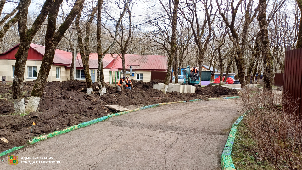    Фото: администрация Ставрополя Елена Гаврина