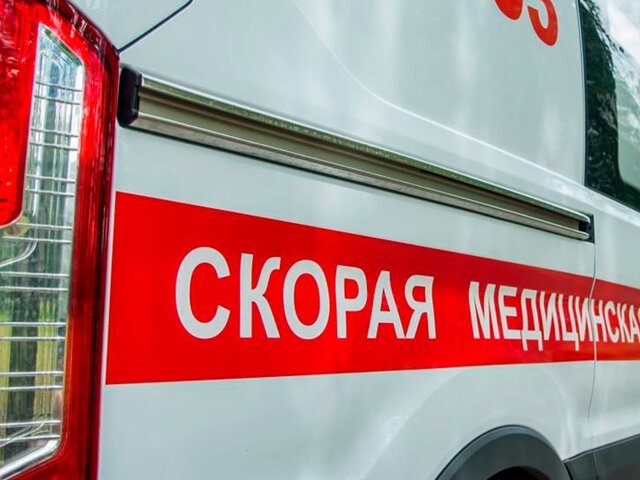    Фото: портал мэра и правительства Москвы/Юлия Иванко