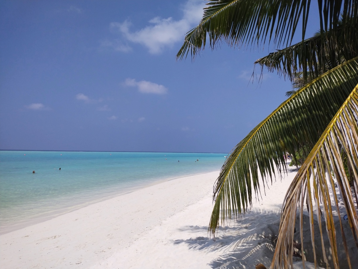 Фериду. То самое Баунти