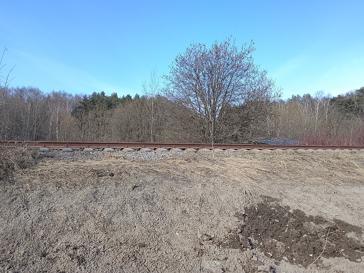 Снег стал, и уже вскоре путь зарастет травой. :)