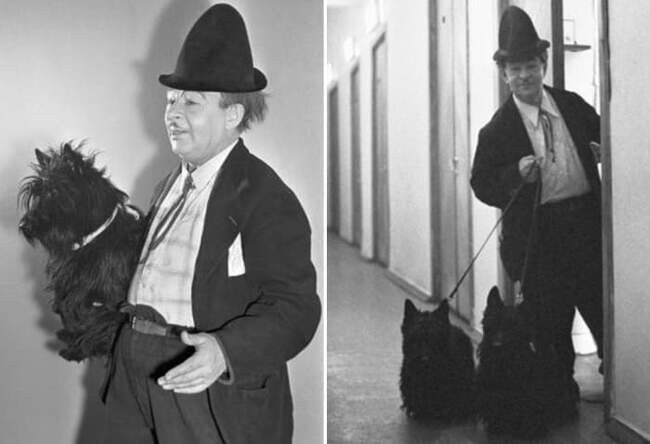 Из открытых источников 