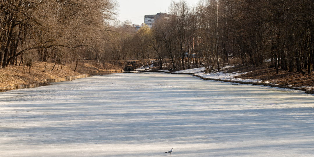 Весеннее настроение