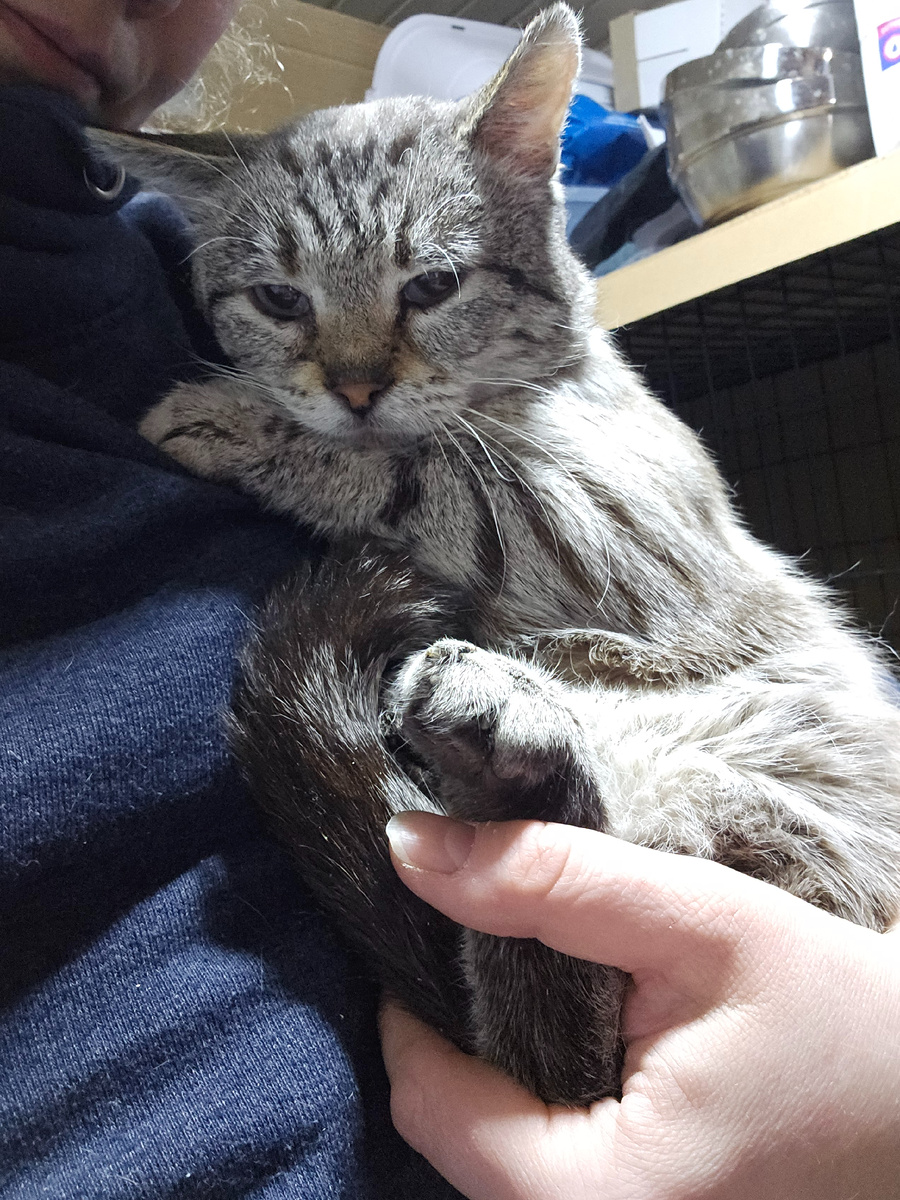 Фото автора. КотЬ оооооочень хочет жить.