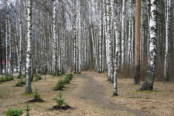 Фото: РИА Новости/Алексей Даничев