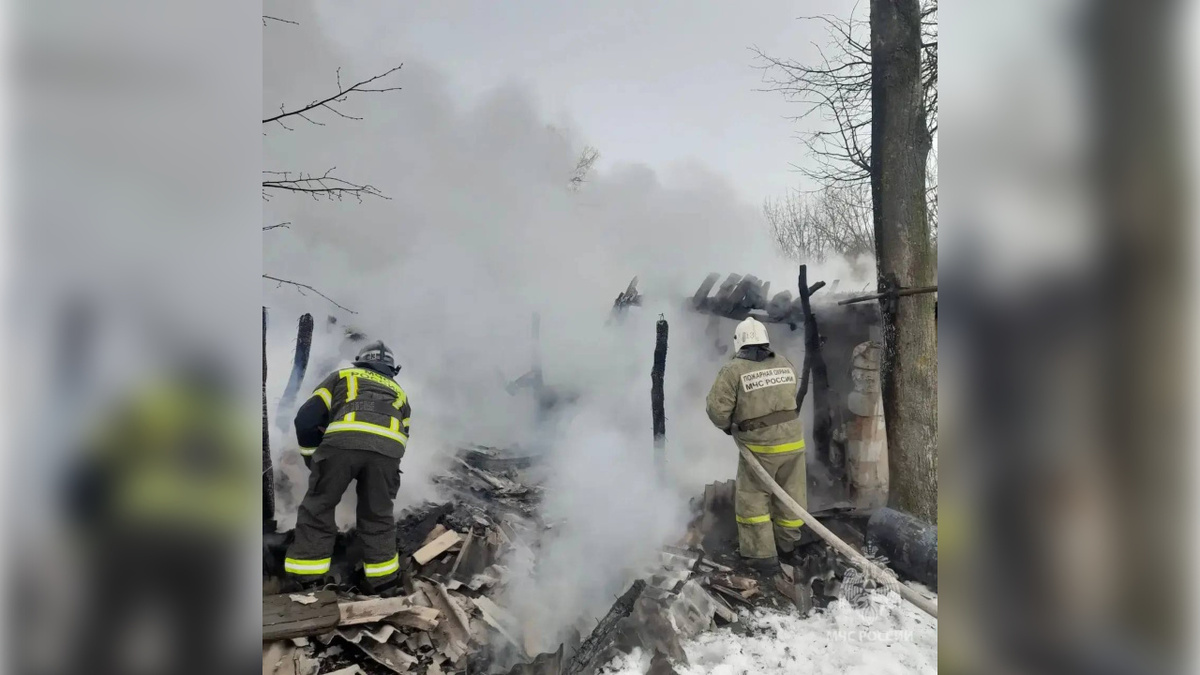    Три козленка погибли в пожаре в Щигровском районе Курской области