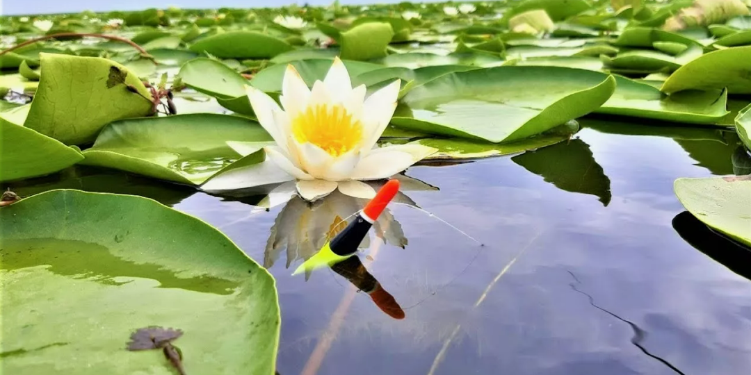 5 весенних наблюдений — присматриваем летние окуневые точки