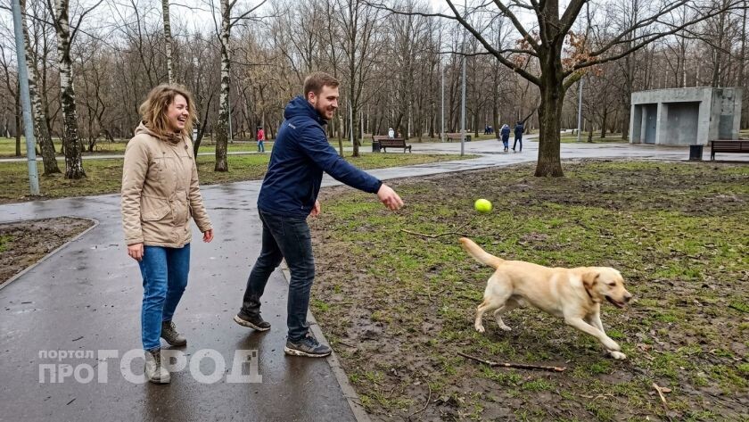    Создано ИИ