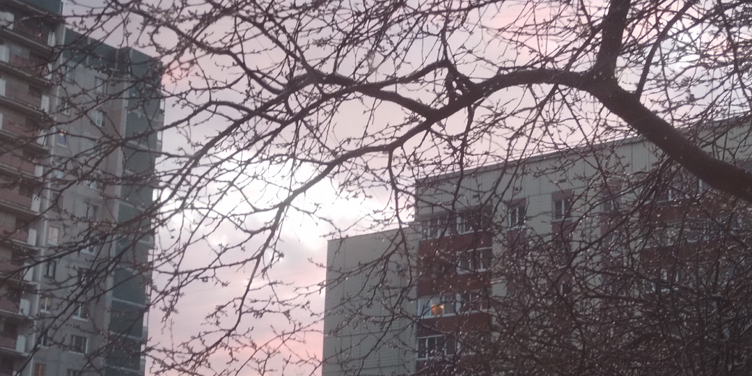 От заката до рассвета