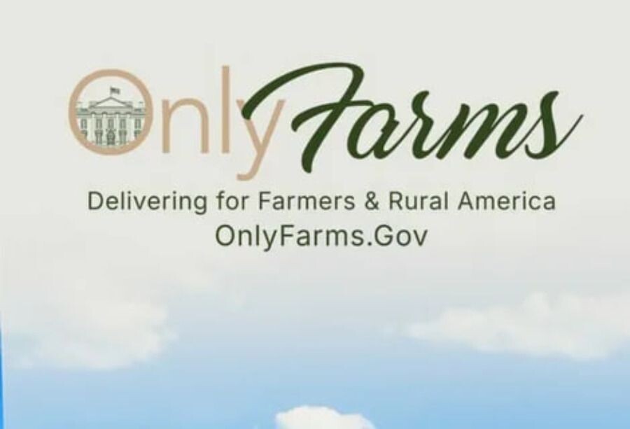     / Источник: Скриншот