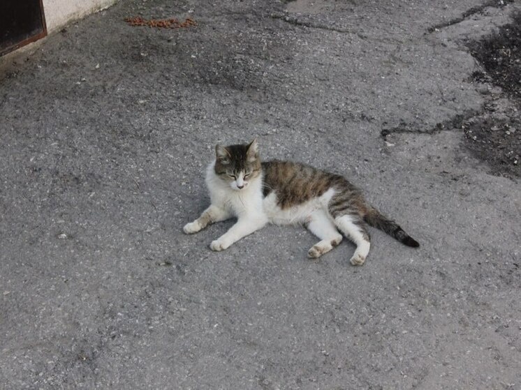     Фото: МК в Самаре