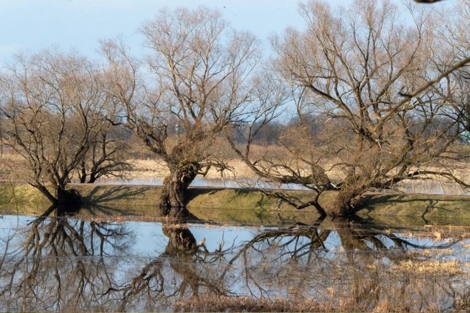    Своевременная подготовка поможет избежать серьезных последствий Михаил ФРОЛОВ